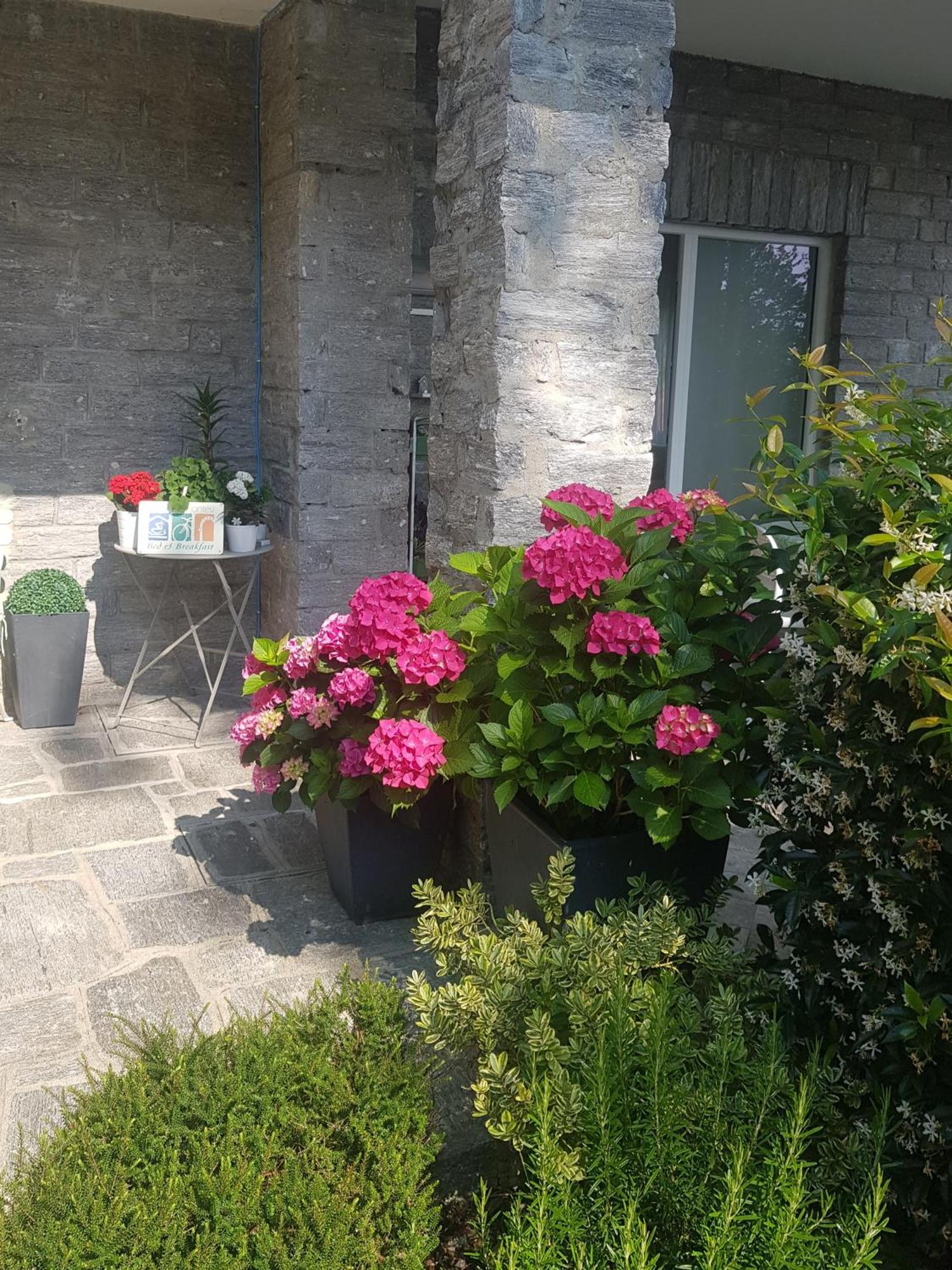 Ori Villa Oriana Бавено Екстериор снимка